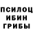Псилоцибиновые грибы Magic Shrooms Tahmina Kursanalikyzyyy