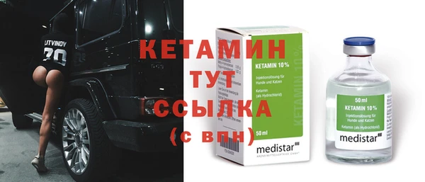 сатива Кохма