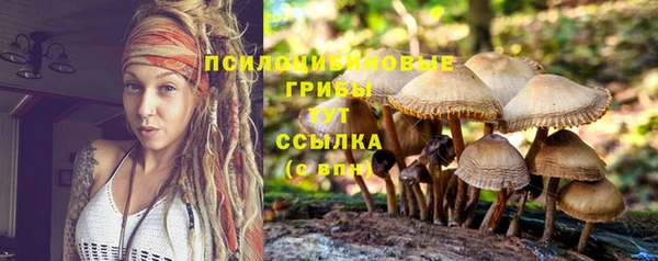 МДМА Няндома