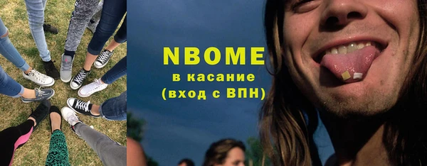 сатива Кохма